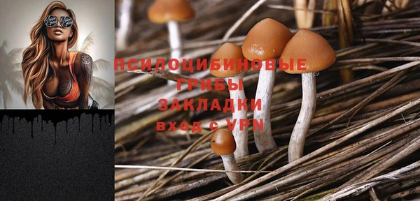 прущая мука Карталы