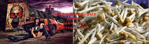 мескалин Касимов