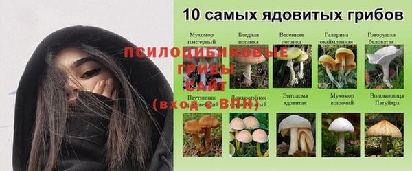мяу мяу мука Карпинск