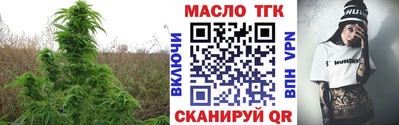 Купить  Знаменск  ТГК концентрат 